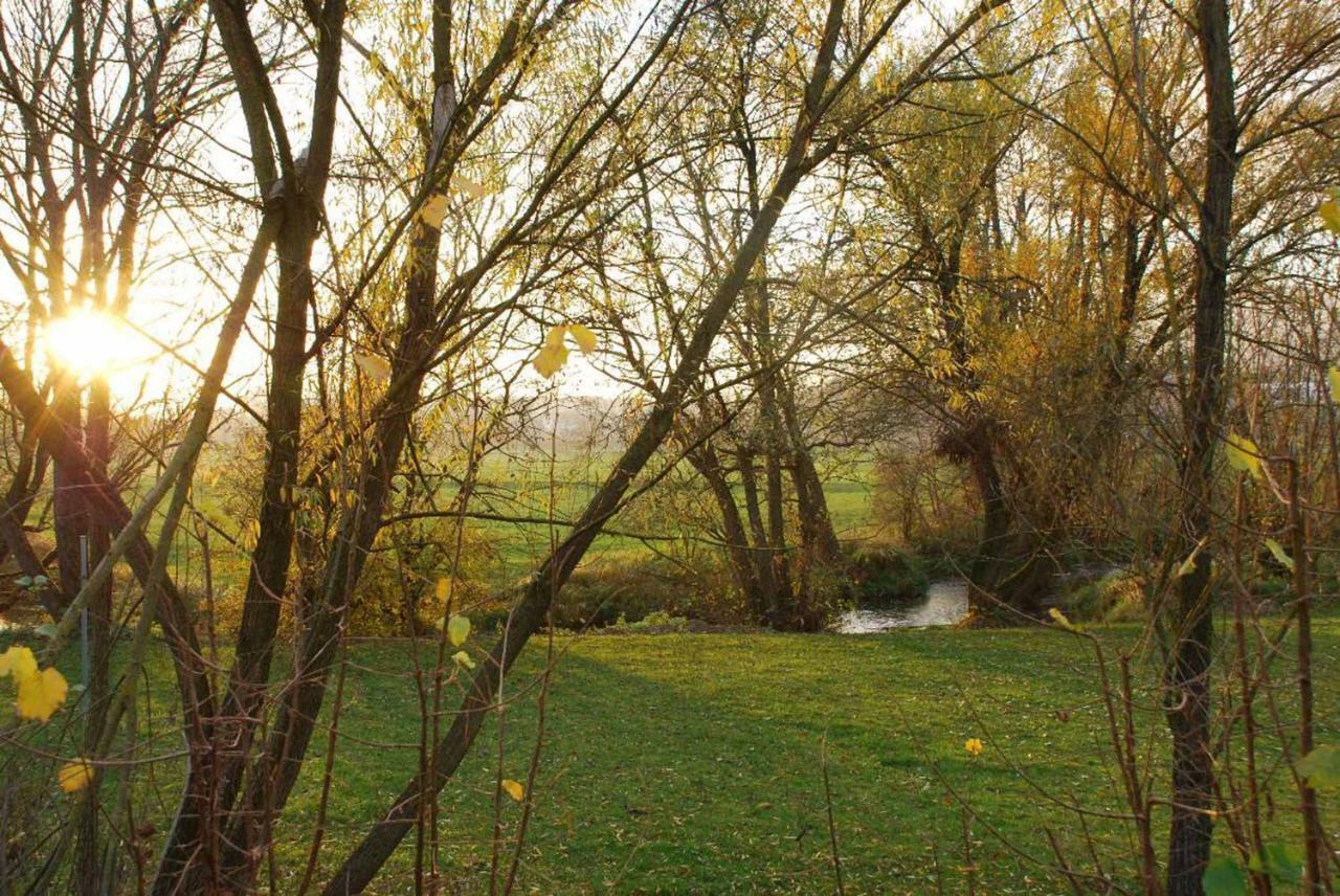 Pension "Bayerwald" Frauenau Exterior foto